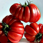 25 Ruffled Tomato Seeds | Exotic Heirloom Solanum lycopersicum | Grow Beautiful Ribbed Tomatoes for Salads, Sauces & Gardens