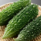 5 Seeds Gourd Bitter Futo Spindle – Hybrid (Momordica charantia) Non-GMO, Healthy Bitter Gourd for Planting, Gardening, & Fresh Harvests