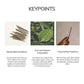 White Sage Incense Sticks – 30 Mini Hand-Rolled Sticks from Peru (4.2")