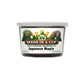 Japanese Maple Grow Kit | Grow Japanese Maple from Seed | Seeds In A Cup®