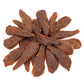 Jeffers Chicken Jerky Healthy Dog Treats, 24 oz - 100% Natural, Grain-free, Gluten-free, Made in USA