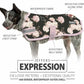Jeffers Expression 600D Waterproof Ripstop Dog Coat, 240 Gram