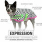Jeffers Expression 600D Waterproof Ripstop Dog Coat, 240 Gram