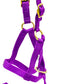 Jeffers Nylon "Grow With Me" Weanling Horse Halter