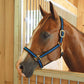 Jeffers Padded Nylon Horse Halter with Throat Snap