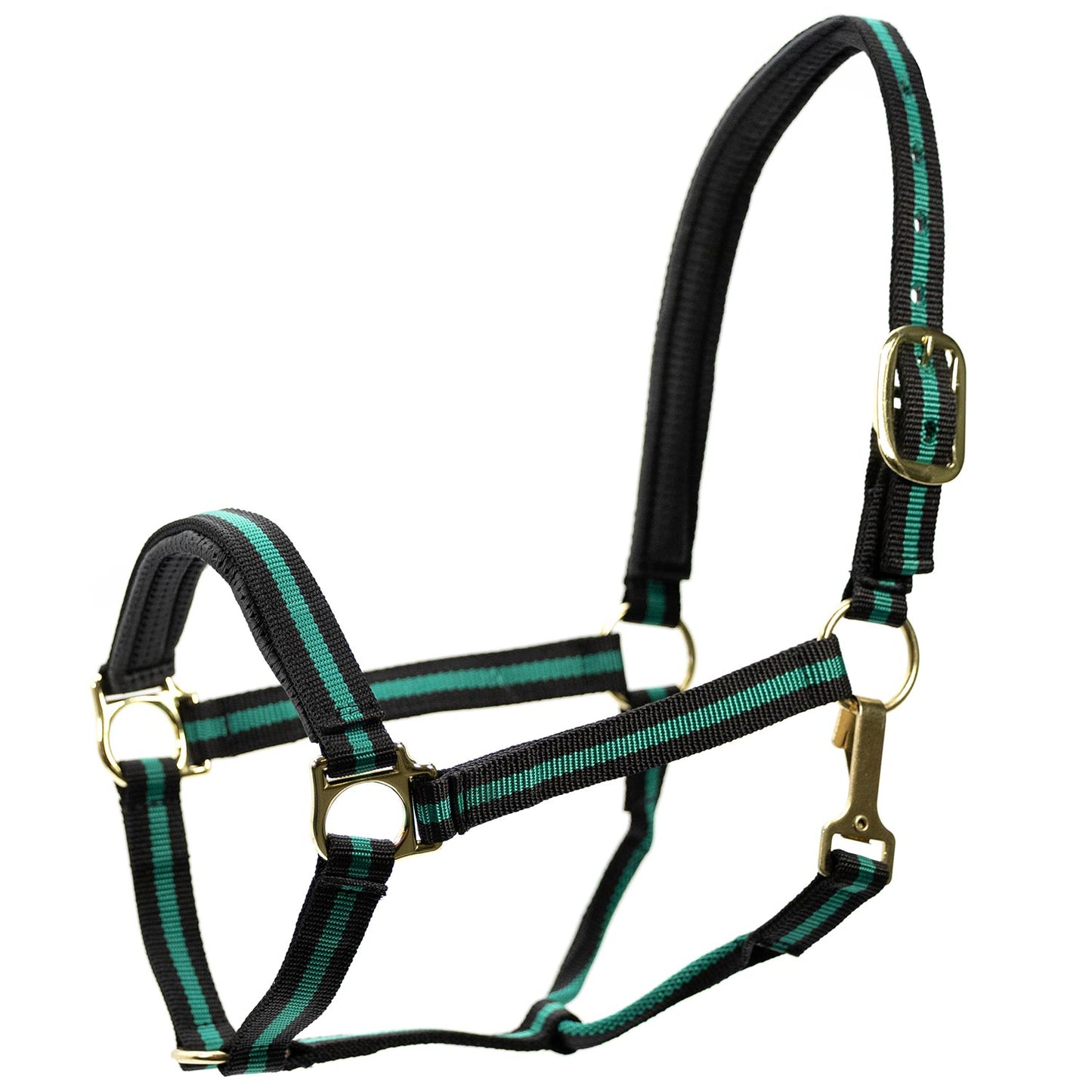 Jeffers Padded Nylon Horse Halter with Throat Snap
