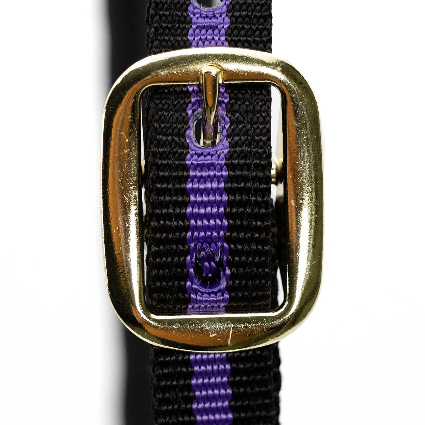 Jeffers Padded Nylon Horse Halter with Throat Snap