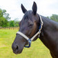 Jeffers Matching Horse Halter & Lead Rope 2 Piece Set, Full Size