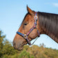 Jeffers Matching Horse Halter & Lead Rope 2 Piece Set, Full Size