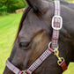 Jeffers Matching Horse Halter & Lead Rope 2 Piece Set, Full Size