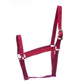 Jeffers Turnout Nylon Horse Halters, 2-Ply, 1"