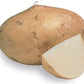 Jicama Root Seeds - 20 Large Seeds