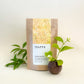 Jasmine Oolong