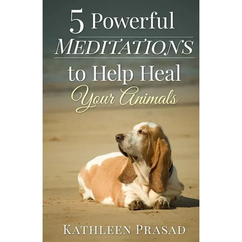 5 Powerful Meditations to Help Heal Your Animals