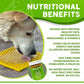 Dogtastic Gourmet Peanut Butter for Dogs - Pumpkin & Flax Seed Flavor - 50% off