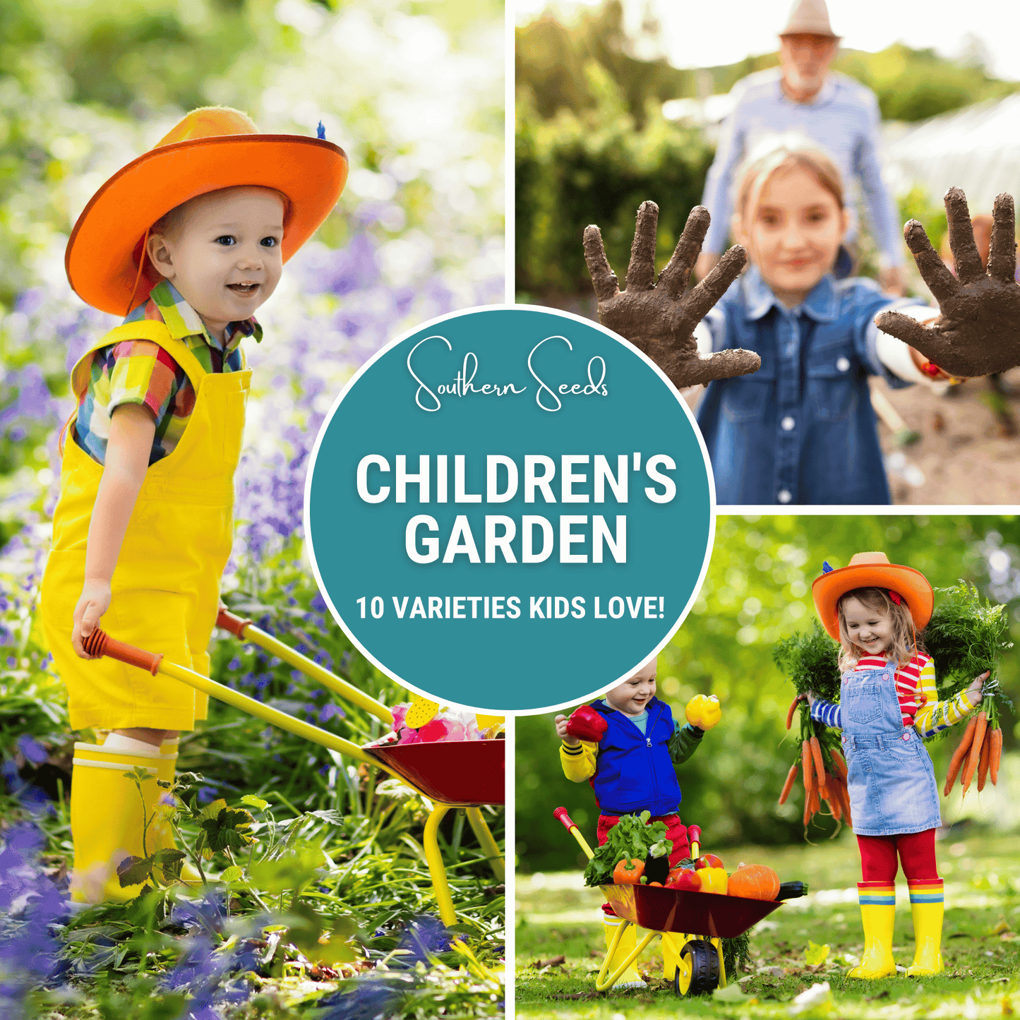 Kids Garden Seed Collection – 10 Varieties
