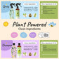 kin+kind Flea & Tick Shampoo & Spray Kit for Dogs & Cats – Plant-Based