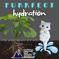 Cat Watering Spike
