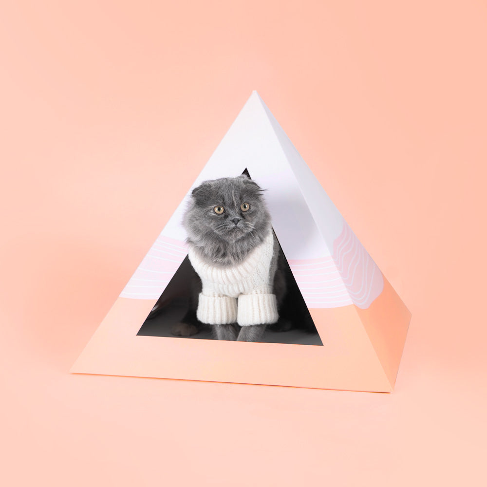 Pirámide Ondulada de Cartón para Gatos