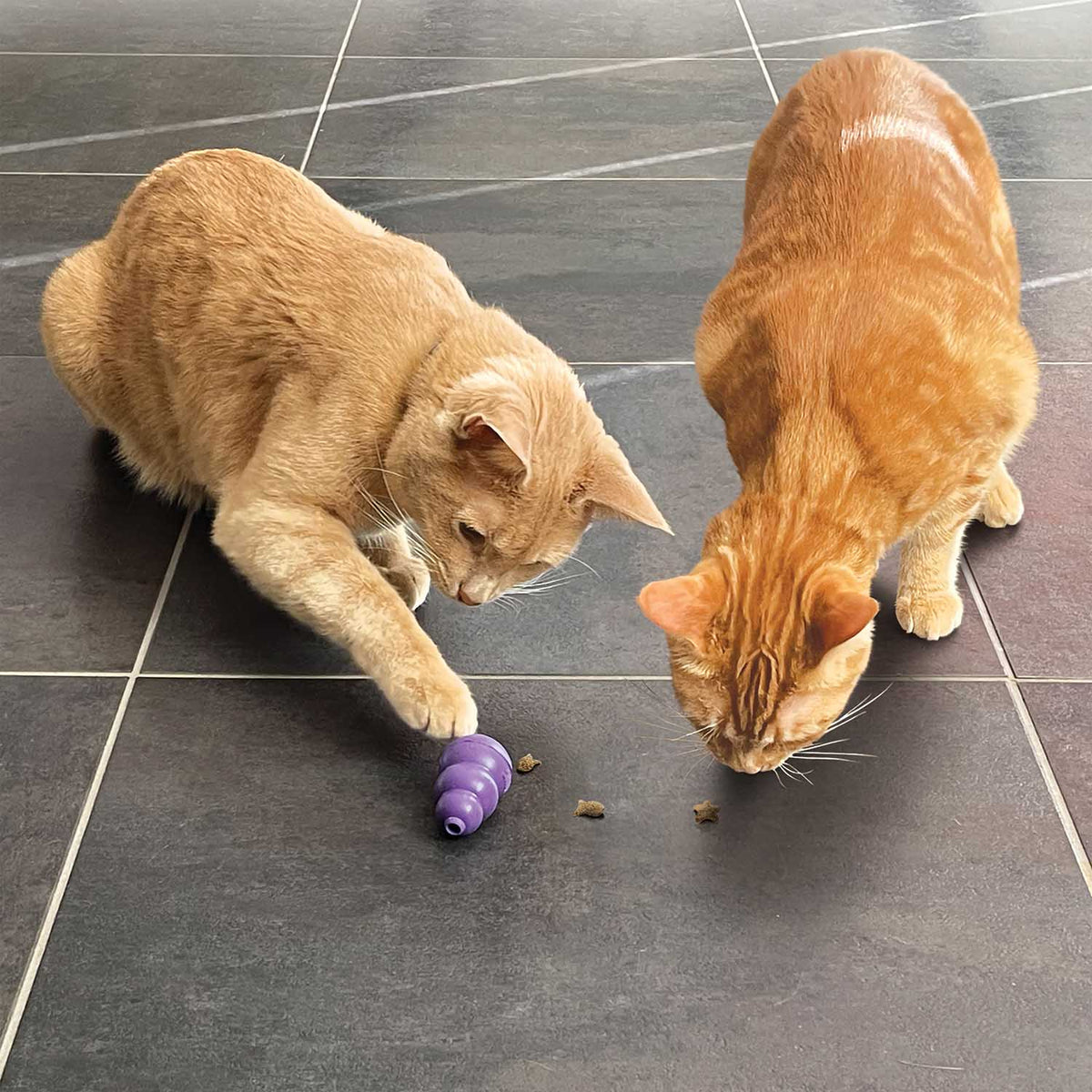 KONG Cat Nibbies, 2 oz