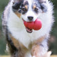 KONG Classic Dog Toy
