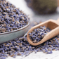 English Lavender – 100 Seeds