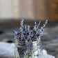 Lavender Seeds