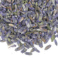 Lavender Loose Leaf Tea