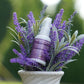 HuggleHug™ Lavender Bone & 2oz Calming Spray Dog Toy Set