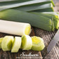 Giant Musselburgh Leek – 200 Seeds