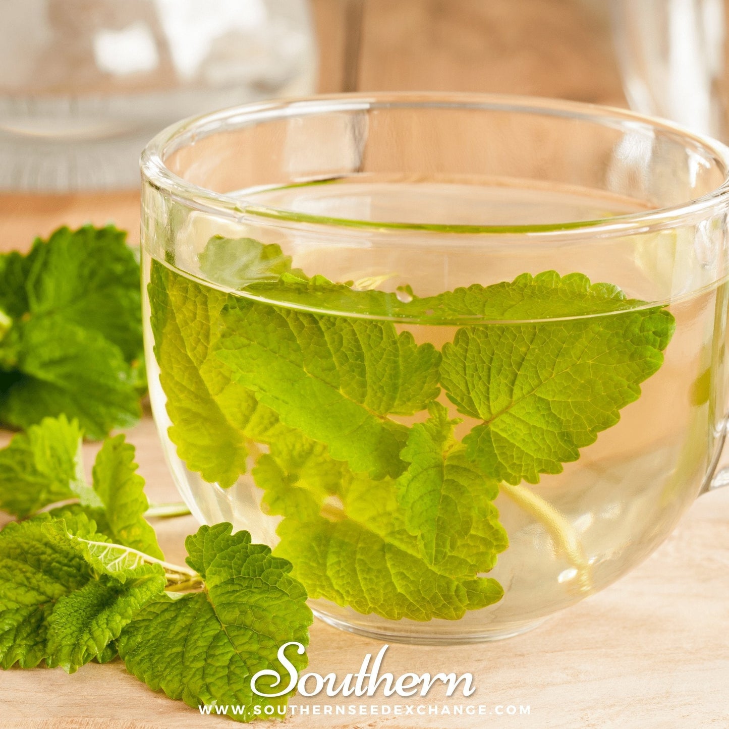 Lemon Balm – 100 Seeds