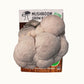 3 Pack - Lion's Mane, Pink, and Blue Oyster Mushroom Growing Kit - 15 LBS