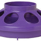 Little Giant 1 Quart Chicken Feeder & Waterer – Plastic Screw-On Jar & Base (Sold Separately)