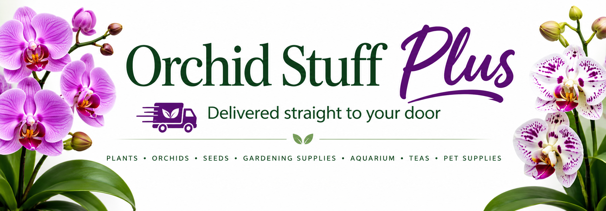 Orchid Stuff Plus