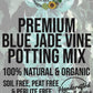Blue Jade Vine Premium Potting Mix