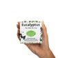 Eucalyptus Shea Butter Bar Soap – Clarifying Cleanse