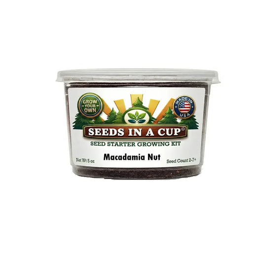 Macadamia Nut Tree Grow Kit | Grow Macadamia from Seed | Seeds In A Cup®