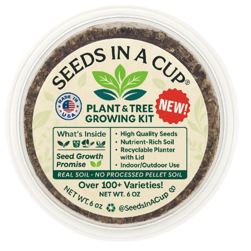 Mahogany Tree Grow Kit