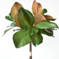18" Faux Magnolia Leaf Bundle
