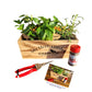 Herb Window Garden Gift Set- Complete windowsill herb garden growing kit