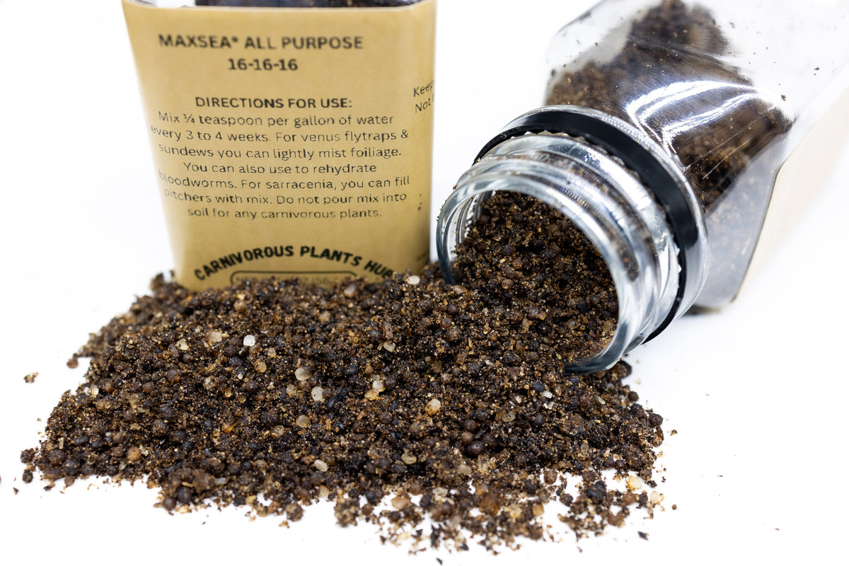 Maxsea 16-16-16 Carnivorous Plant Fertilizer | Venus Flytrap, Sundew & Sarracenia Plant Food