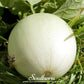 Green Flesh Honeydew Melon – 20 Seeds