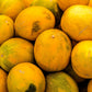 25 KOLKHOZNITSA MELON Collective Farm Woman Cucumis Melo Russian Fruit Seeds