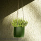 Mid Century Ribbed Hanging Plant Pots