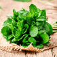 Mint – 100 Seeds