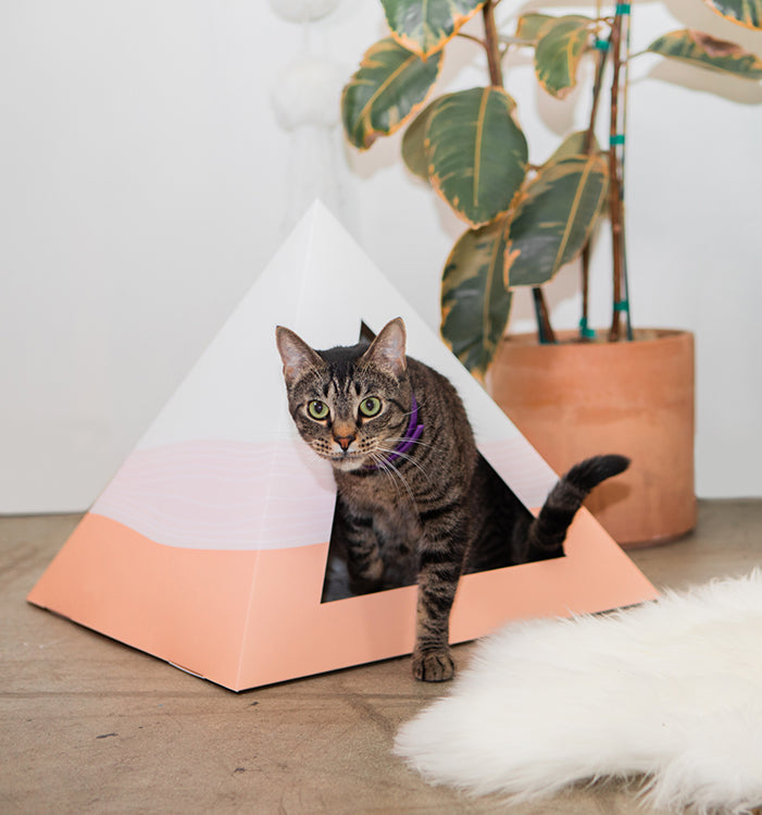 Pirámide Ondulada de Cartón para Gatos