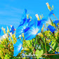 Heavenly Blue Morning Glory – 50 Seeds