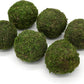 3" Moss Balls (set of 6)