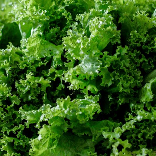 Mustard Greens Seeds