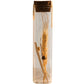 Natural Dried Flower in Glass Tube Randomly Picked Set of 5